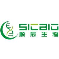 APPLYGEN 蛋白预制胶（4-12% Bis-Tris 12 孔）+10包电泳粉末 1.0mm