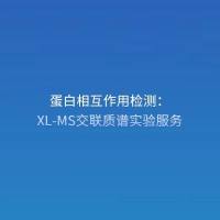 蛋白相互作用检测：交联质谱（XL-MS）实验服务