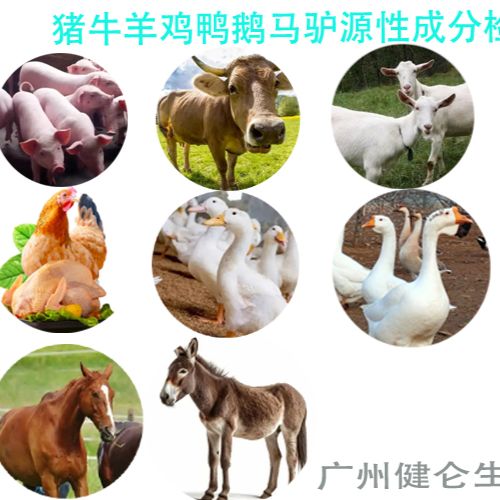 猪/牛/羊源性成分快速检测试剂盒说明书