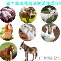 猪/牛/羊源性成分快速检测试剂盒说明书