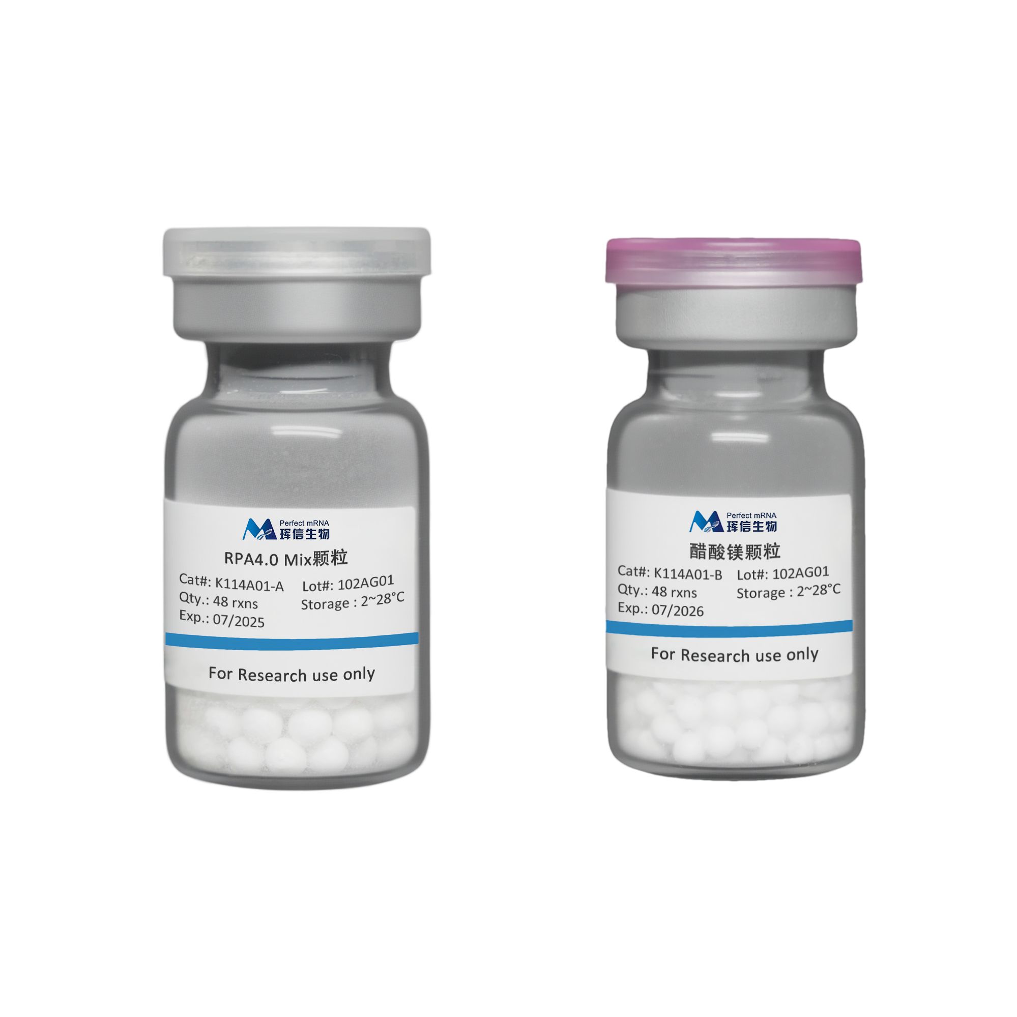 RT-RPA核酸扩增试剂(荧光型)