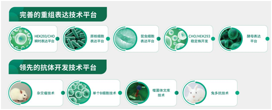 义翘神州（SinoBiological）：民族自主生物试剂品牌