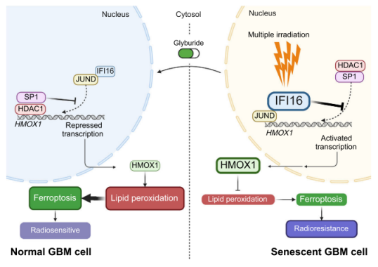 技术资料图片10
