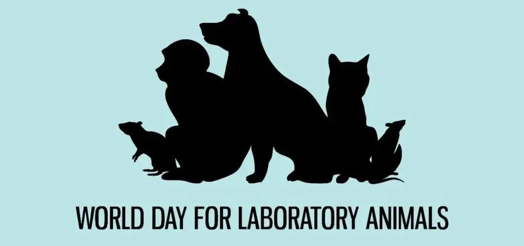 世界实验动物日 | 致敬无名勇士，感恩生命之光