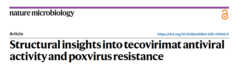 科学前沿｜Tecovirimat：抗病毒的“超级武器”与痘病毒的“耐药挑战”