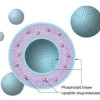 DSPE-PEG-Cys-Gly-Lys-Arg-Lys   DSPE-PEG-CGKRK  CGKRK-PEG-DSPE   磷脂-聚乙二醇-细胞穿膜肽