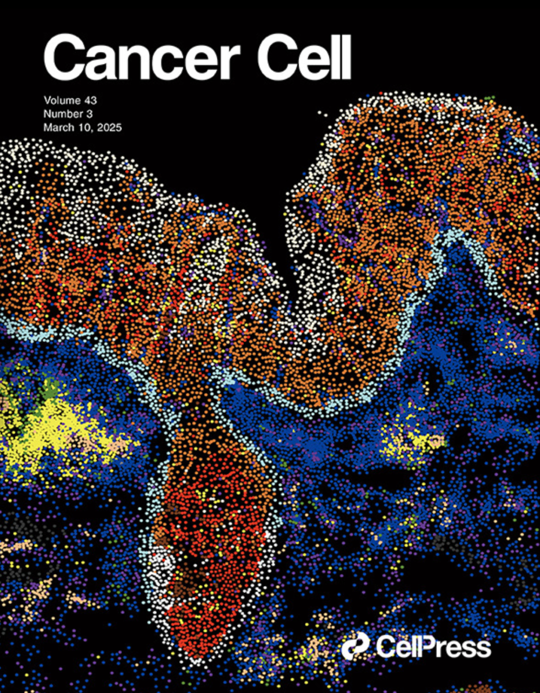 国内首篇Xenium应用文章新鲜出炉，荣登《Cancer Cell》封面！