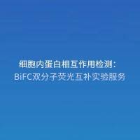 细胞内蛋白相互作用检测：双分子荧光互补（BiFC）实验服务