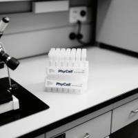 甲硝唑单克隆抗体；甲硝唑抗体；Metronidazole 抗体