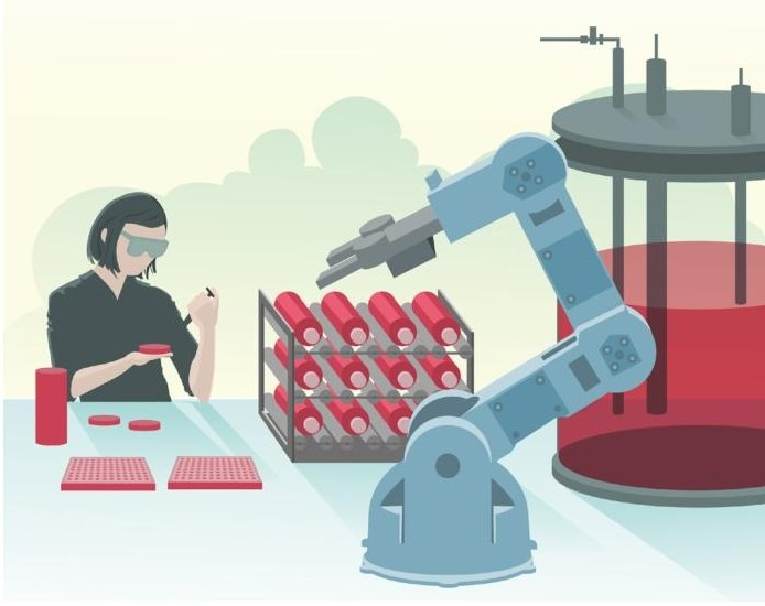 LN521兼容各类细胞培养容器