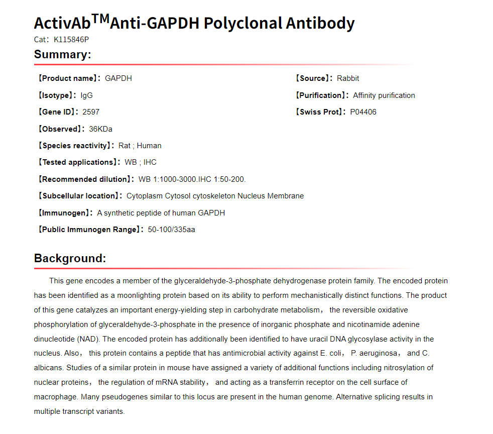 K115846P Anti-GAPDH Polyclonal