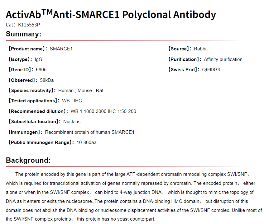 K115553P Anti-SMARCE1 Polyclon