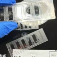 5孔牛鲍血球计数板