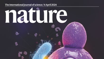 Nature |APOE4/4基因与阿尔茨海默病：iPSC+单细胞转录组助力发现小胶质细胞中的脂滴之谜