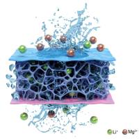 可注射HA-CHO/Col I复合水凝胶（HCol水凝胶）