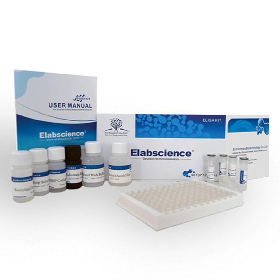 小鼠血管内皮细胞生长因子A(VEGF-A)ELISA试剂盒-Mouse VEGF-A(Vascular Endothelial Cell Growth Factor A) ELISA Kit