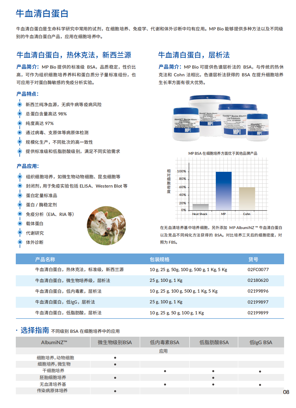 科研明星 | 牛血清白蛋白（BSA）——生命科学领域的“好助手”！