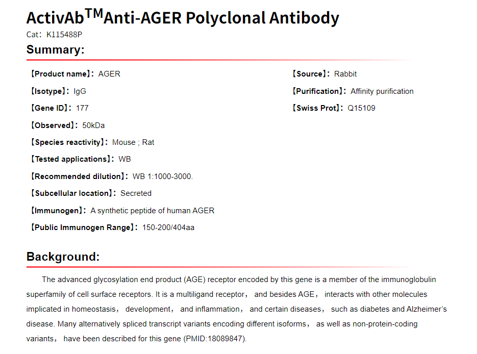 K115488P Anti-AGER Polyclonal 
