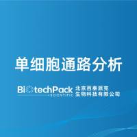 单细胞通路分析