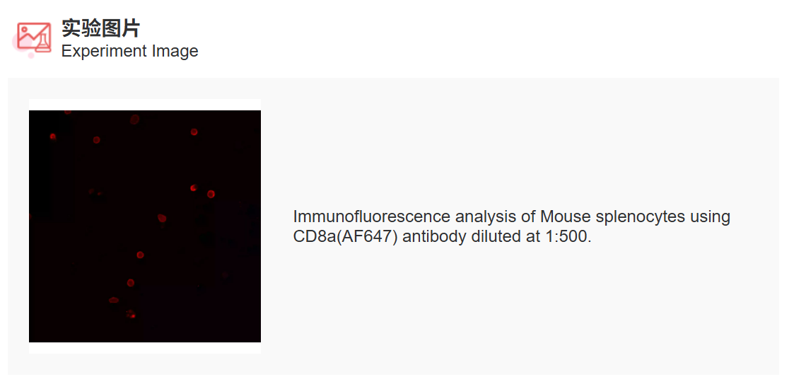 K011469M Anti-CD8a(AF647) Mono