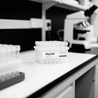 磺胺多残1(五元环)-BSA(OVA)偶联抗原;磺胺多残1(五元环)抗原；磺胺多残抗原；SAS1-BSA(OVA)偶联抗原