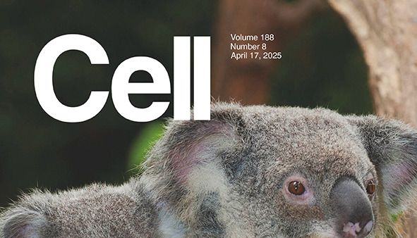 Cell | 整合体（Integrator）“失职”，“打工酶”（RNAPII）如何搞垮细胞工厂？