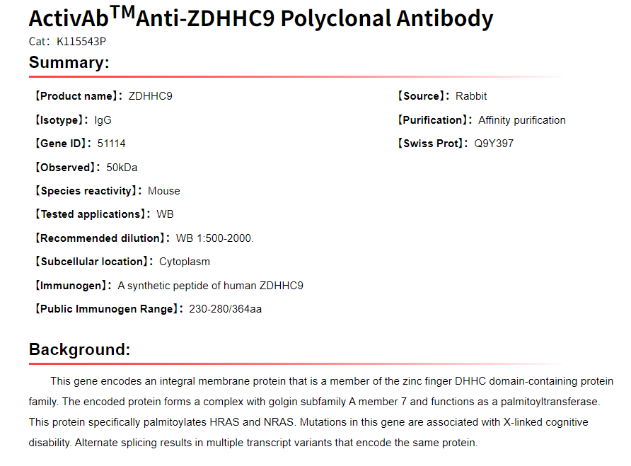 K115543P Anti-ZDHHC9 Polyclona