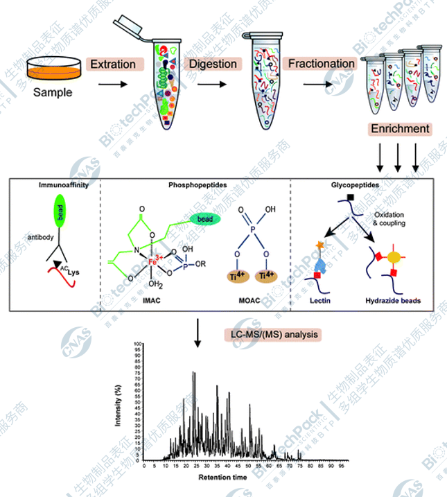 图 1 乳酸作为信号分子，通过 M1 巨噬细胞中的组蛋白赖氨酸乳酰化刺激基因转录。