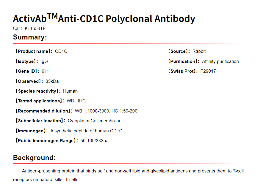 K115531P Anti-CD1C Polyclonal