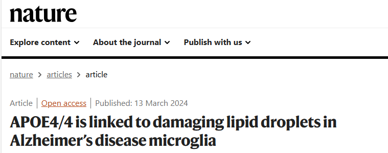 Nature |APOE4/4基因与阿尔茨海默病:iPSC+单细胞转录组助力发现小胶质细胞中的脂滴之谜