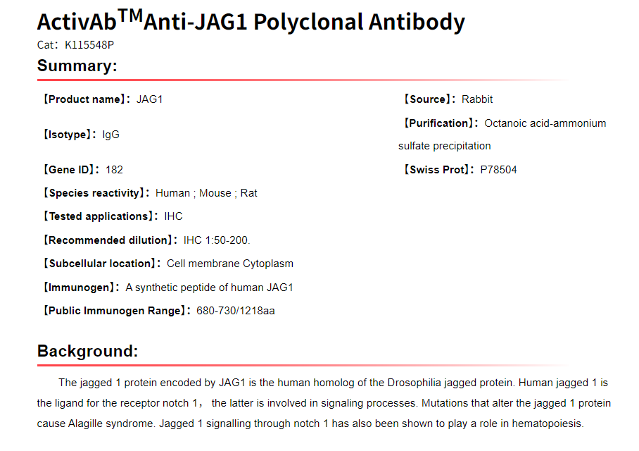 K115548P Anti-JAG1 Polyclonal
