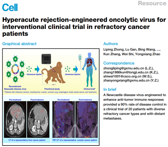 新突破！新城疫病毒精准、有效杀死肿瘤细胞，开启肿瘤治疗新纪元