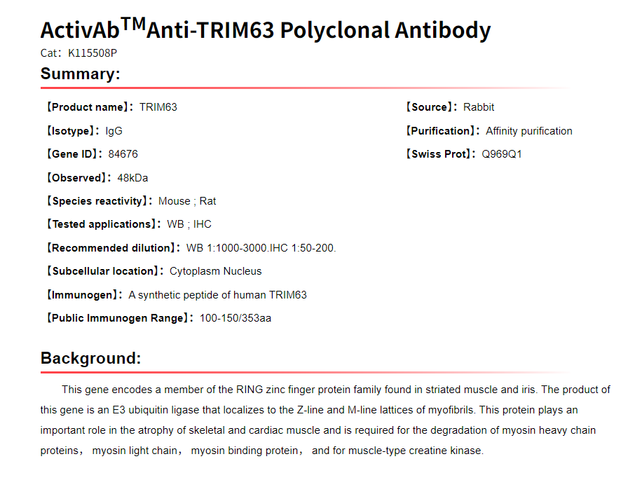 K115508P Anti-TRIM63 Polyclona
