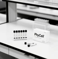 甲氧氯普胺单克隆抗体; 甲氧氯普胺单抗（81D3细胞株）；甲氧氯普胺抗体；metoclopramide抗体