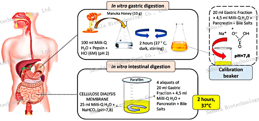 诊断原料讲堂之三：胃肠道生物标志物