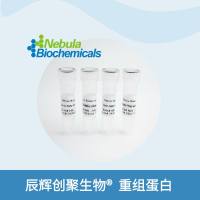 LRG1蛋白,Human LRG1 Protein