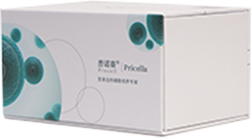 Marcus细胞 (人星形胶质细胞瘤) (STR鉴定正确)