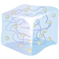 HA-SS-ADH HA-DTPH 透明质酸-3,3'-二硫代双(丙酰肼) 可用于构建刺激响应型水凝胶