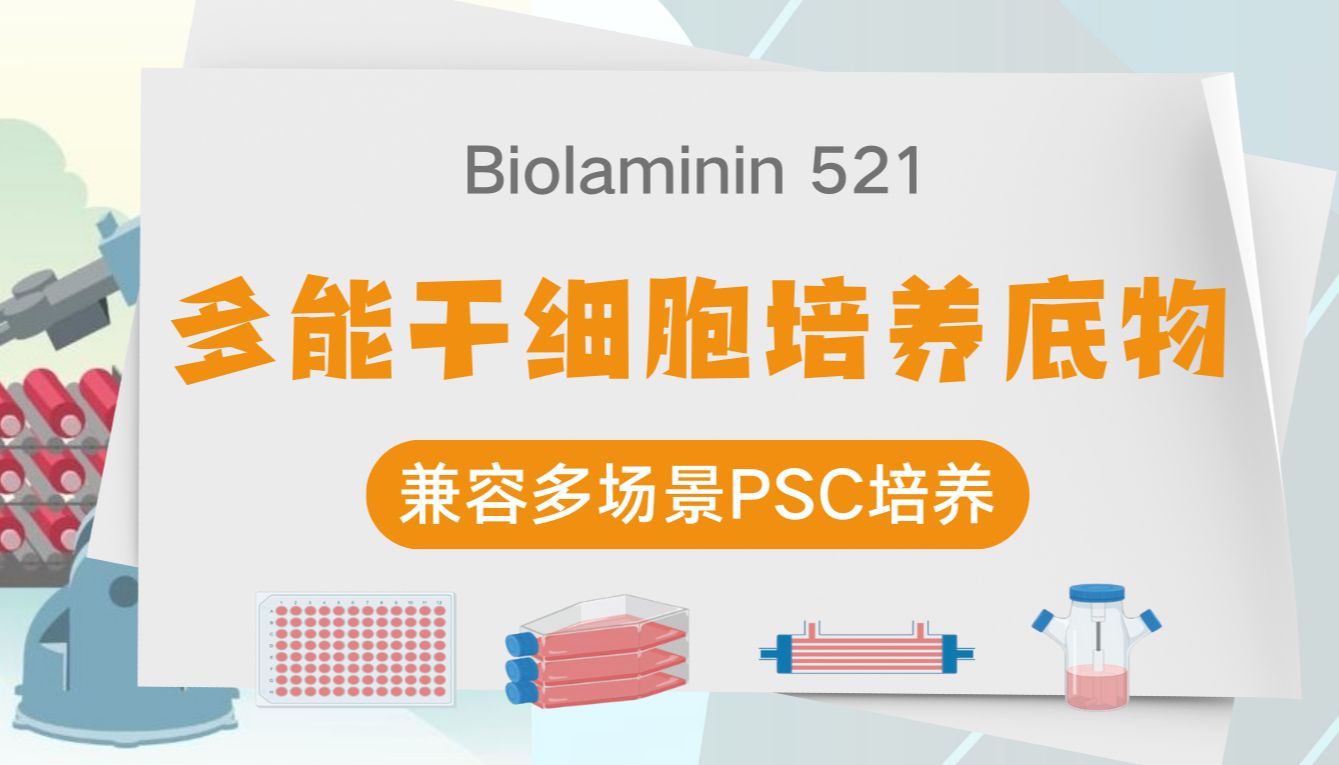 Biolaminin 521：多场景适配的多能干细胞 (PSC) 培养底物