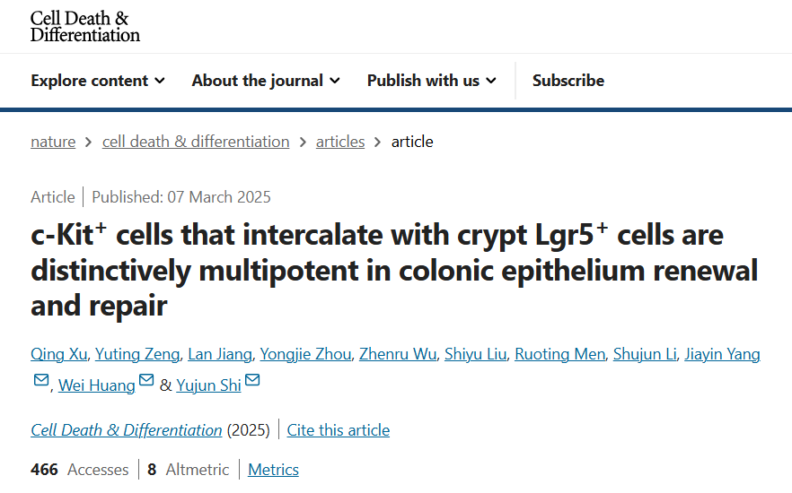 【研究解读】SCF/c-Kit轴调控结肠干细胞功能，助力炎症性肠病上皮损伤修复