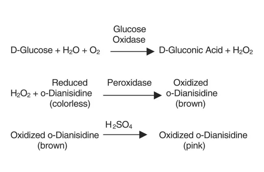 Sigma货号G2133葡萄糖氧化酶(Glucose Oxi