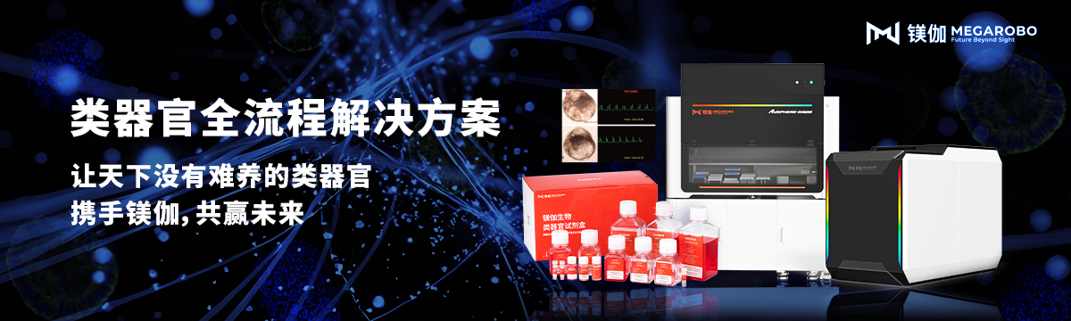 FDA新政驱动类器官革命，重塑药物研发新格局