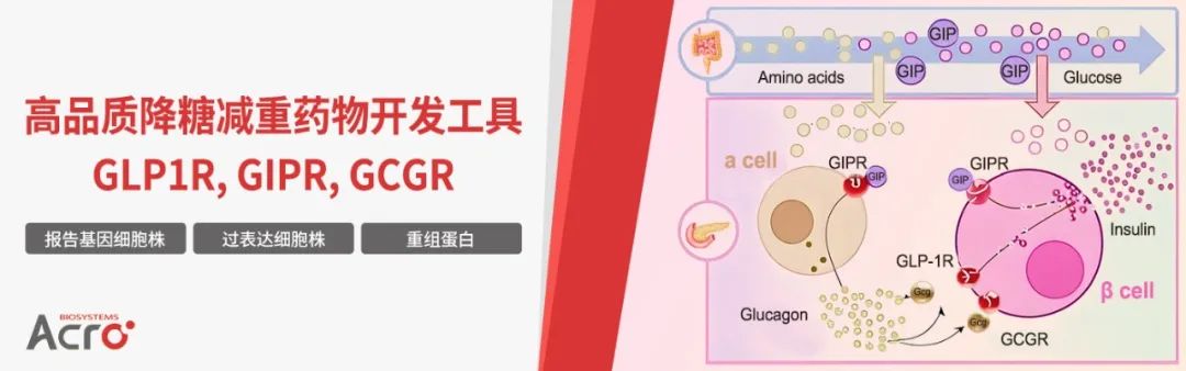 【代谢专题】国产胰岛素龙头企业减重药物头对头挑战两大竞品