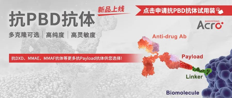 高毒性PBD：能否成为ADC疗效飞跃的新引擎？