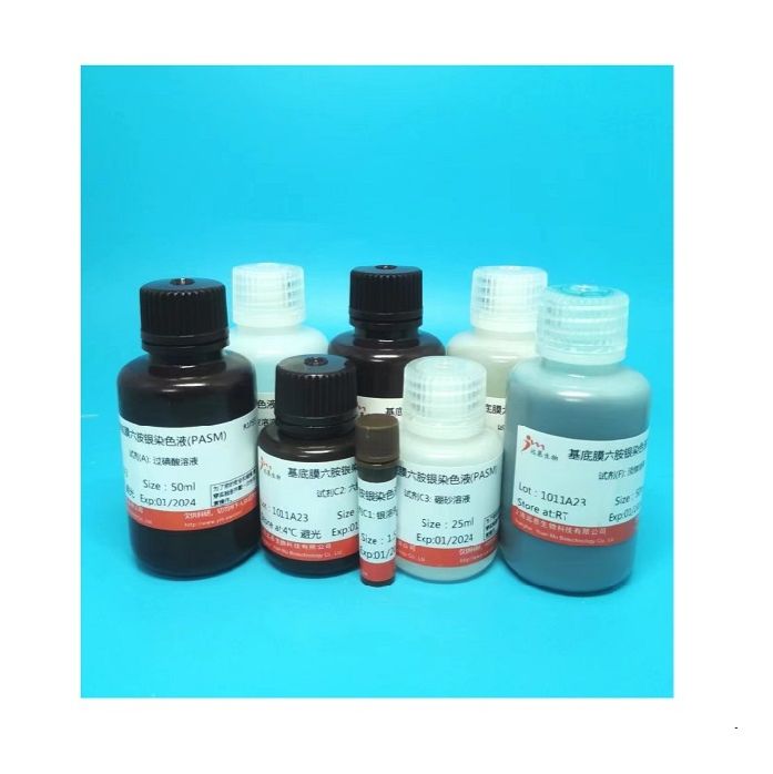 组织细胞固定液(10% PFA)