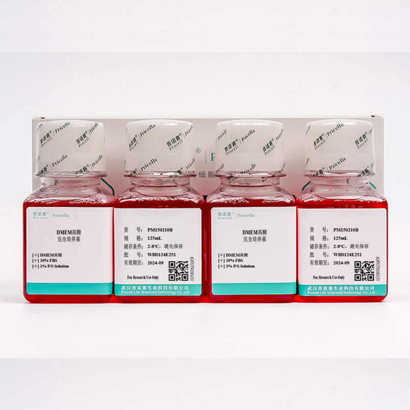 SK-GT-4细胞专用培养基