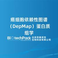 癌细胞依赖性图谱(DepMap)蛋白质组学