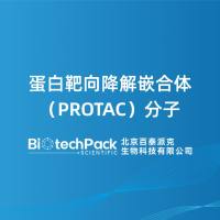 蛋白靶向降解嵌合体(PROTAC)分子