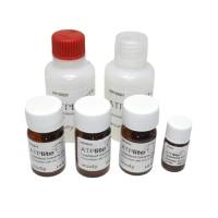 Lite 系列萤光素酶发光检测试剂盒