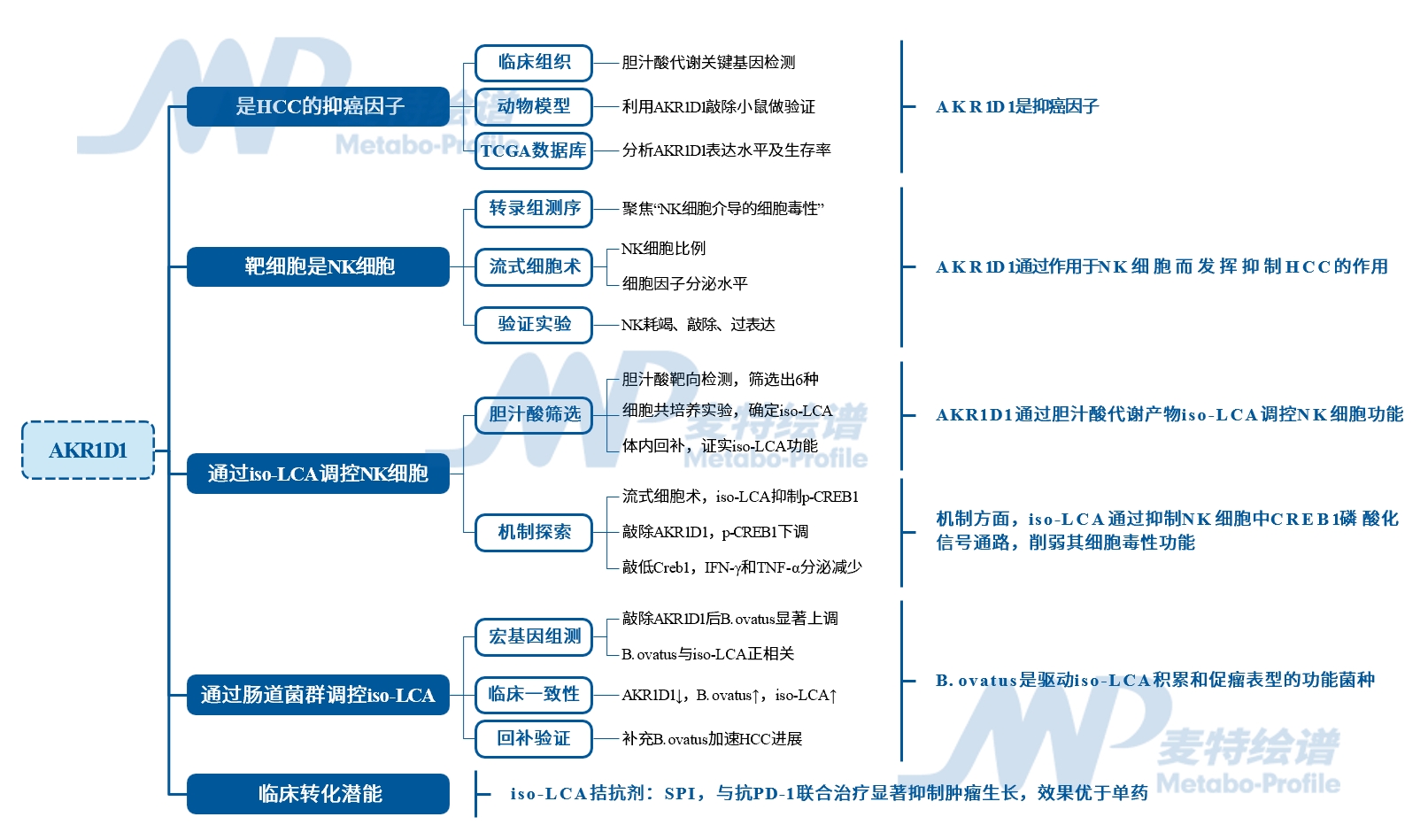 新闻图片2